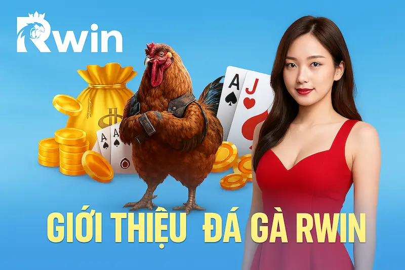Giới thiệu đá gà RWIN1